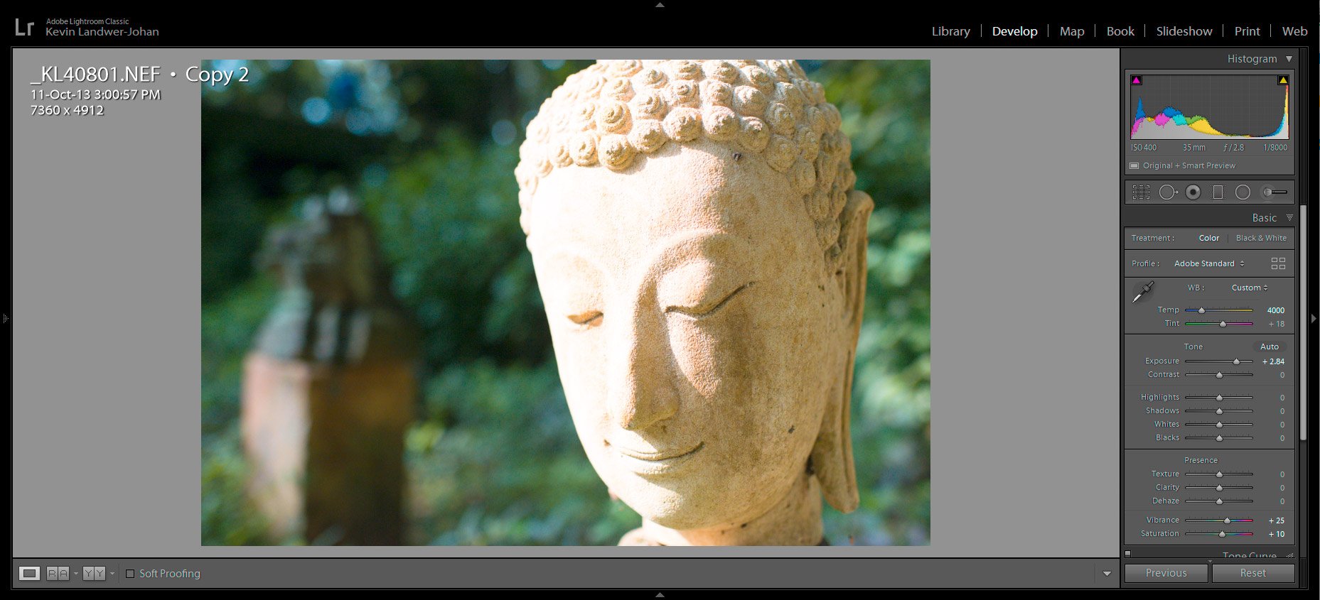 Buddha Statue face screen grab Master Your Exposure