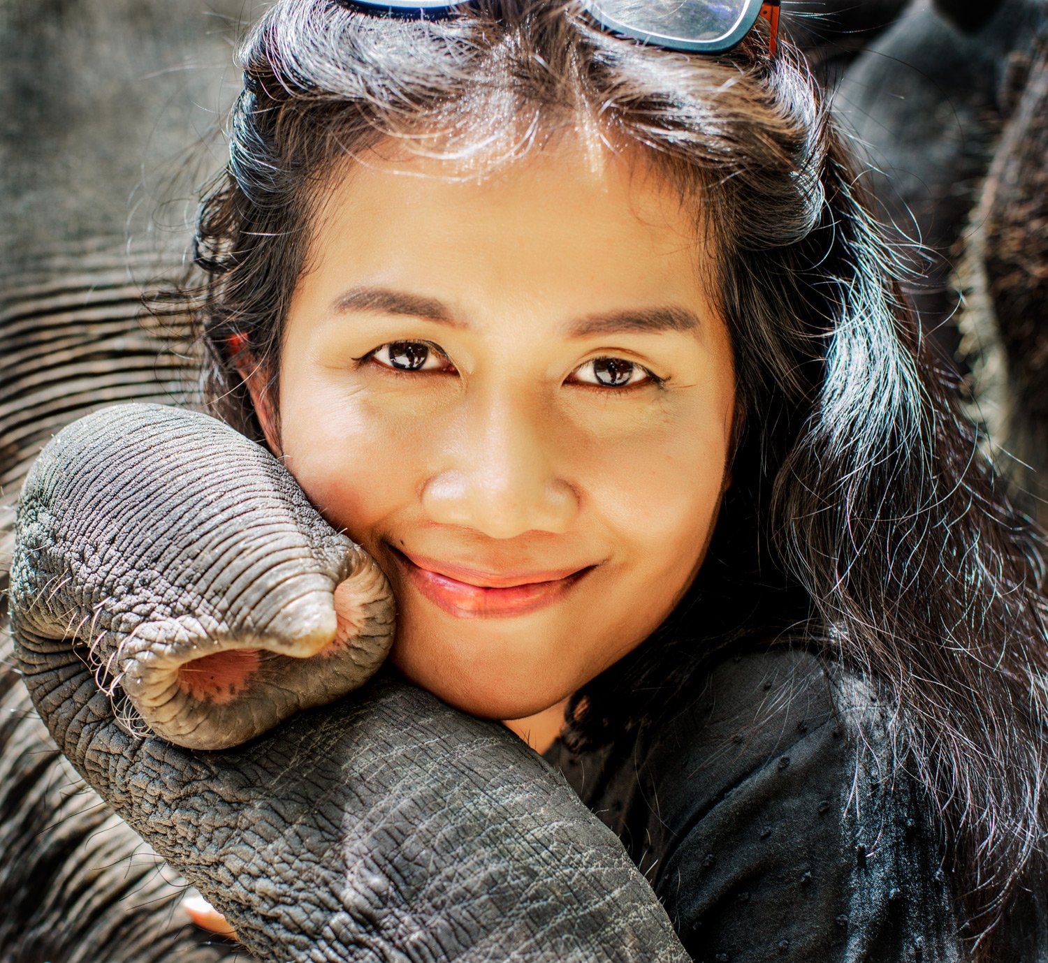 Elephant Enjoyment from Shy Photographer Book