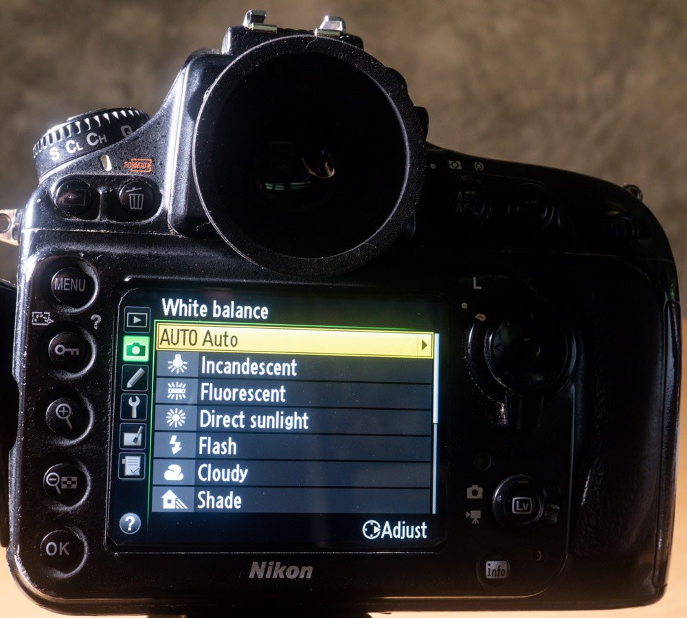 white balance control for how to set up a new camera