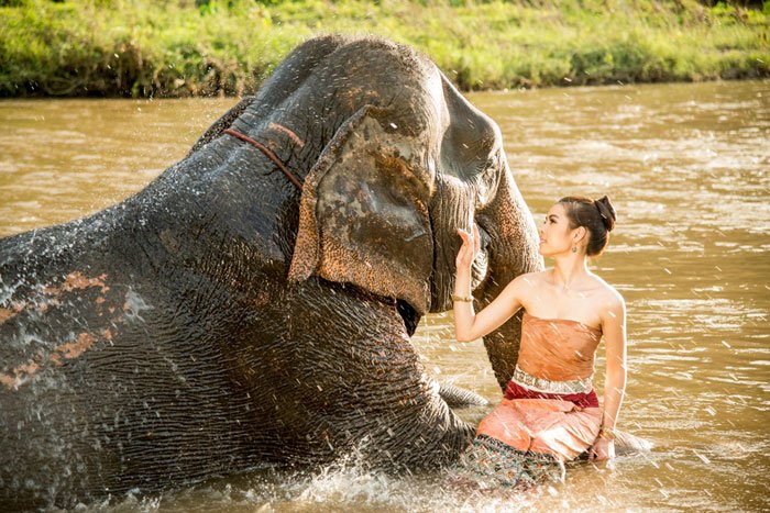Experience Thailand The Most Amazing Photography Workshop Elephant Bathing © Kevin Landwer-Johan