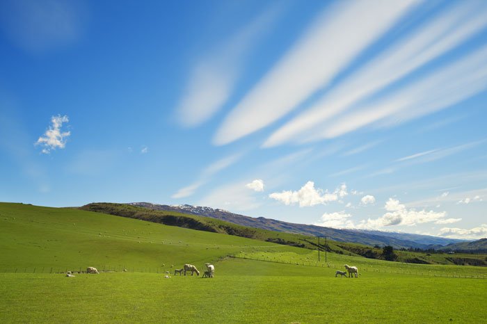 New Zealand South Island Countryside How To Effectively Master Your Camera's Exposure Meter