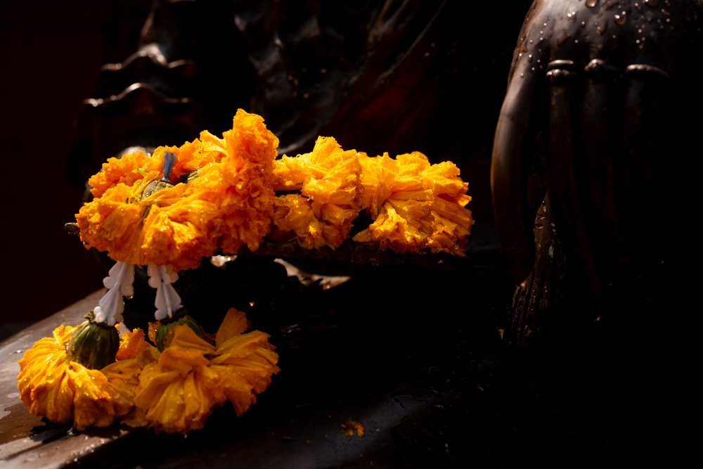 Marigold flowers How To Effectively Master Your Camera's Exposure Meter