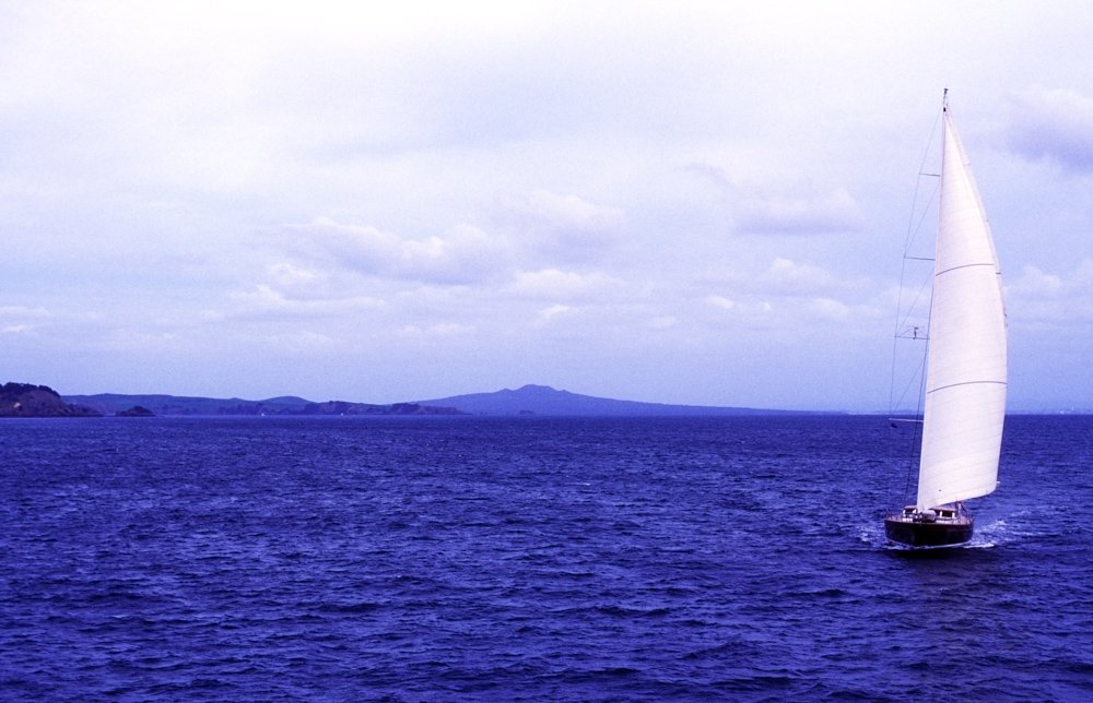 Yacht sailing in a harbour