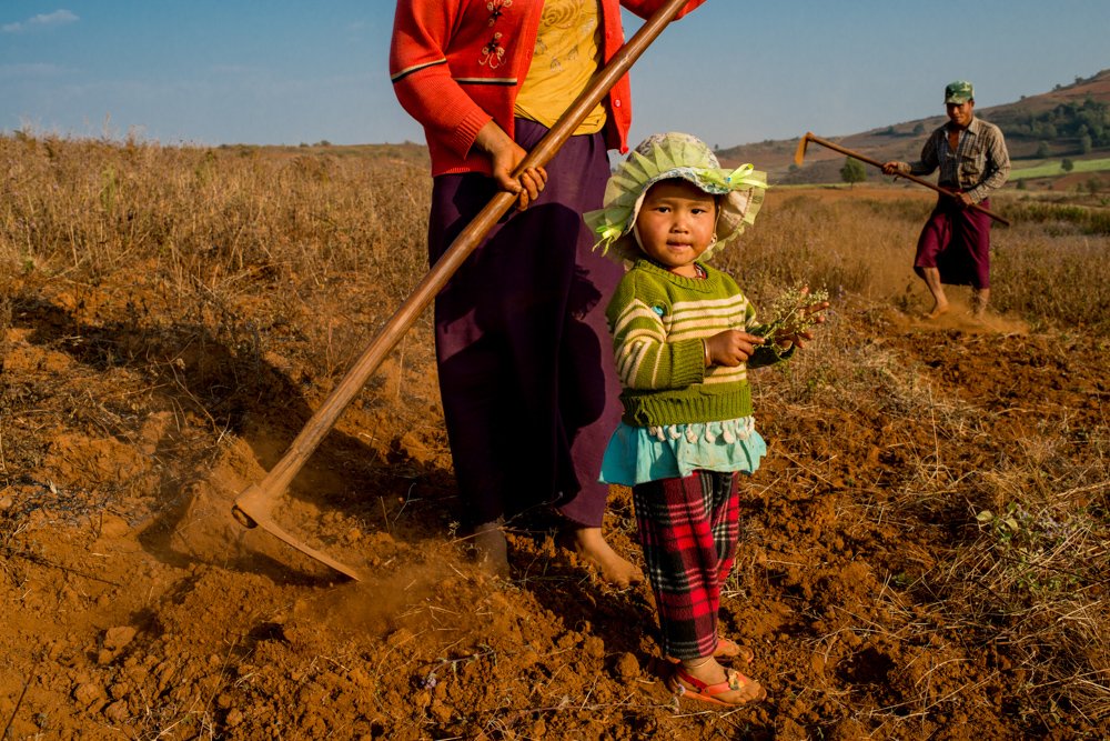 25 Valuable Tips For The Best Travel Photography Portraits Myanmar Farm