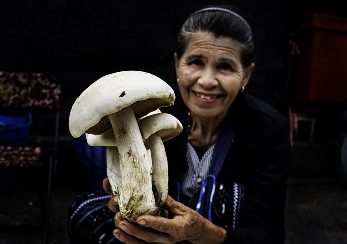 market vendor in Chiang Mai, Thailand displaying large mushrooms. how to tell stories with photos