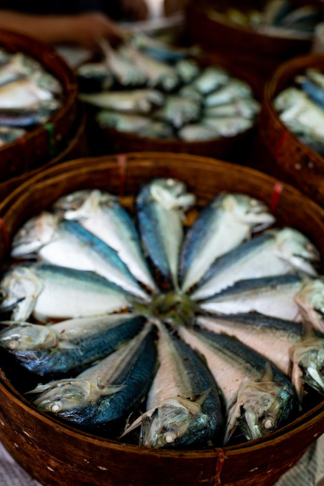 Steamed Fish at Muang Mai Market in Chiang Mai, Thailand. how to tell stories with photos