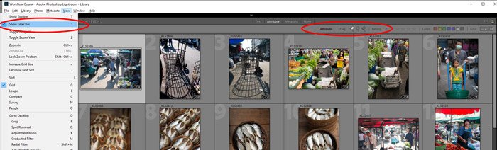screen grab showing flag fitlers in Lightroom
