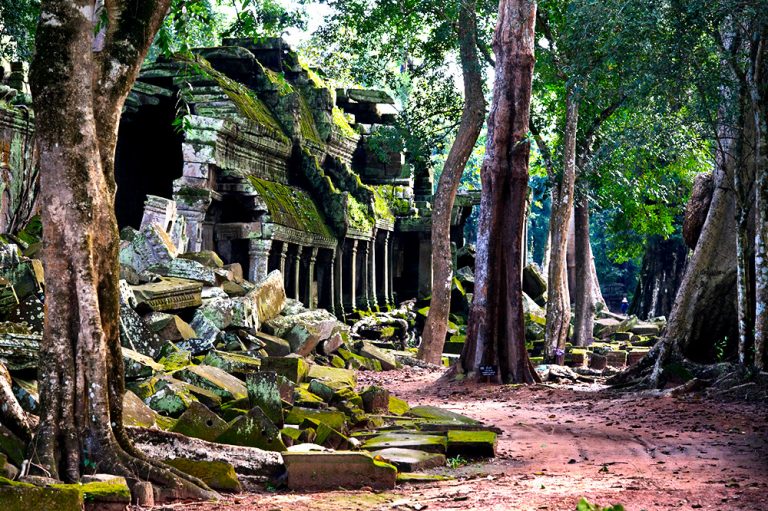 Portfolio of KevinLJ © Kevin Landwer-Johan Ta Prohm Garden