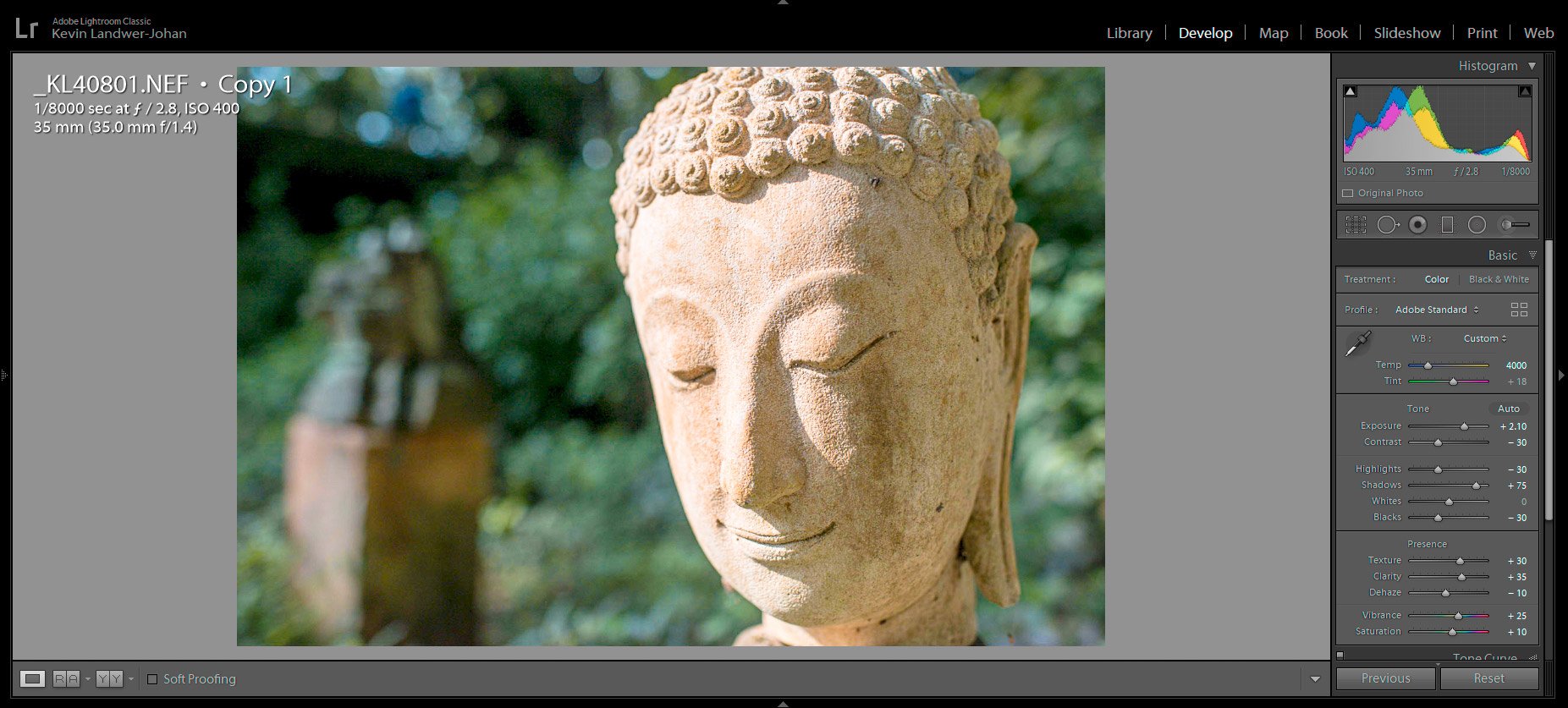 Master Your Exposure How We See It Buddha Statue