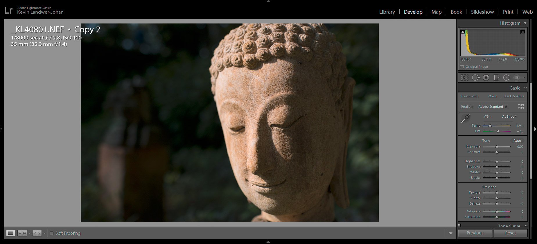 RAW File Buddha image Master Your Exposure