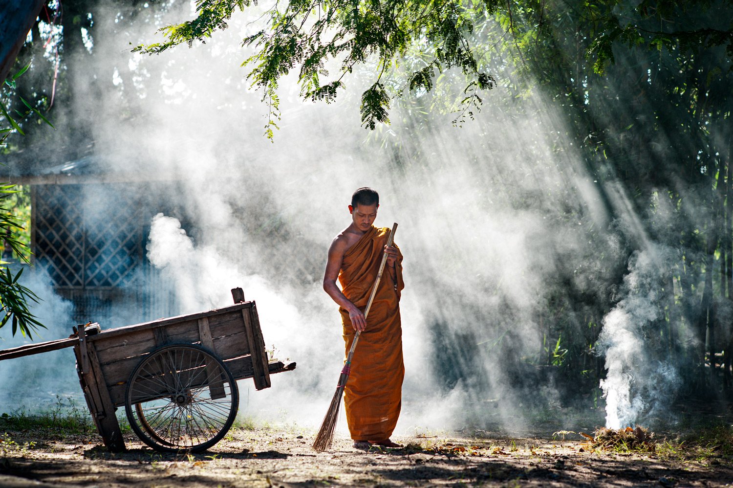 Portfolio of KevinLJ © Kevin Landwer-Johan Buddhist Monk Yard Work