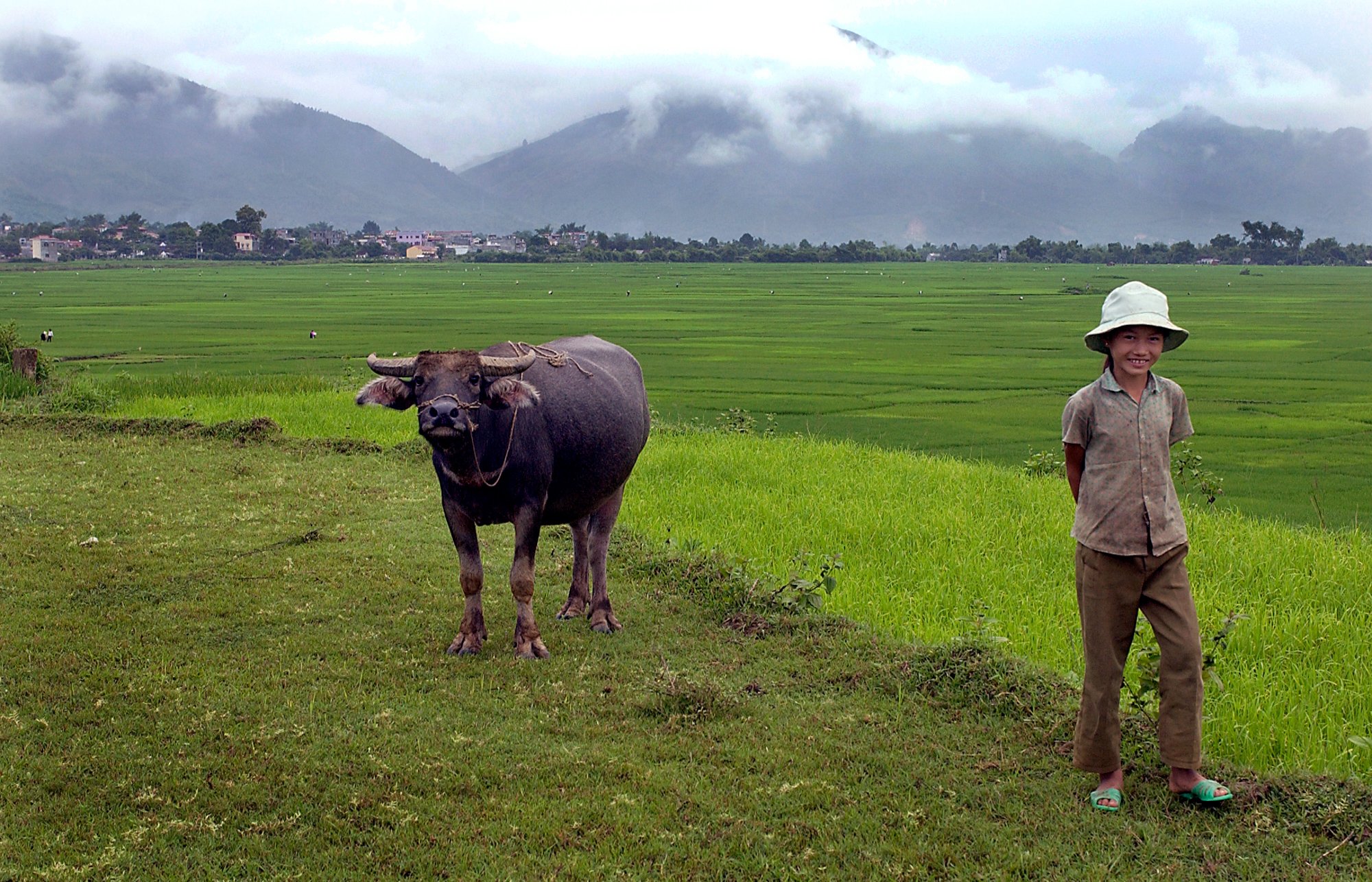 Girl and buffalo - storytelling with digital photos