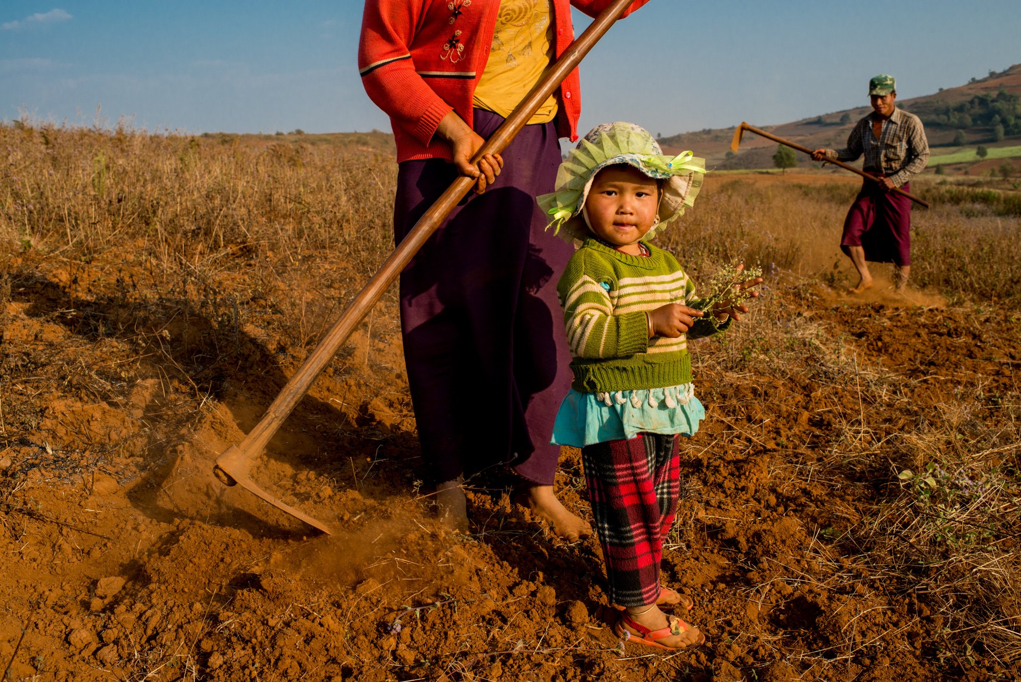 Family of three workg in the fields in Myanmar