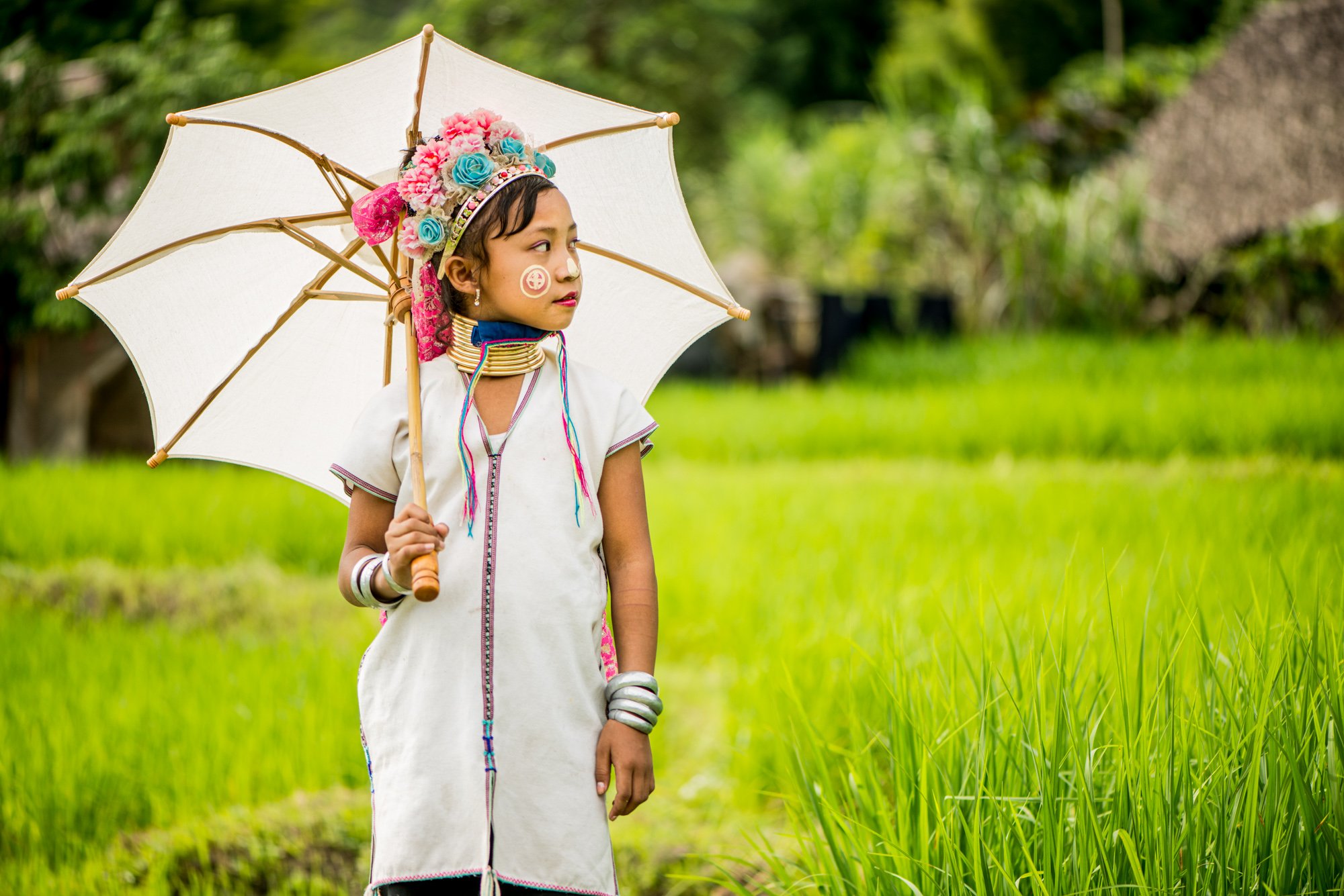 Kayan long neck girl in the rice fields