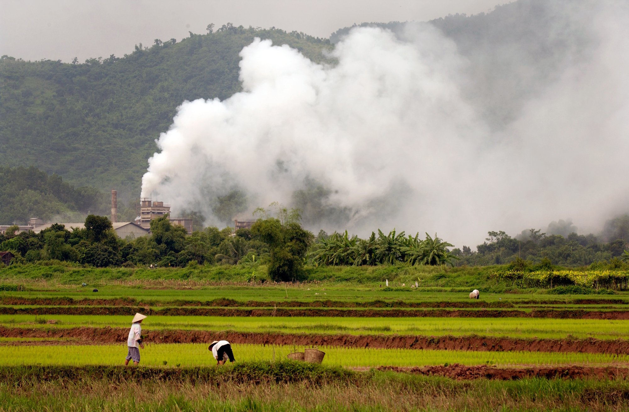 Vietnam Rice and Smoke - storytelling with digital photos