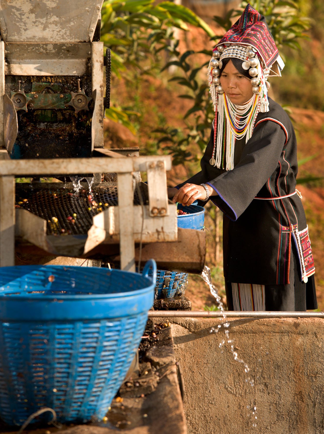 Akha hill tribe woman working at a coffee processing plant in north Thailand to illustrate how to make photo stories