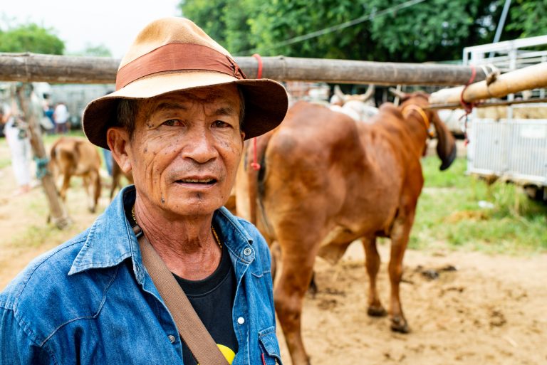 Thai man at a cattle market