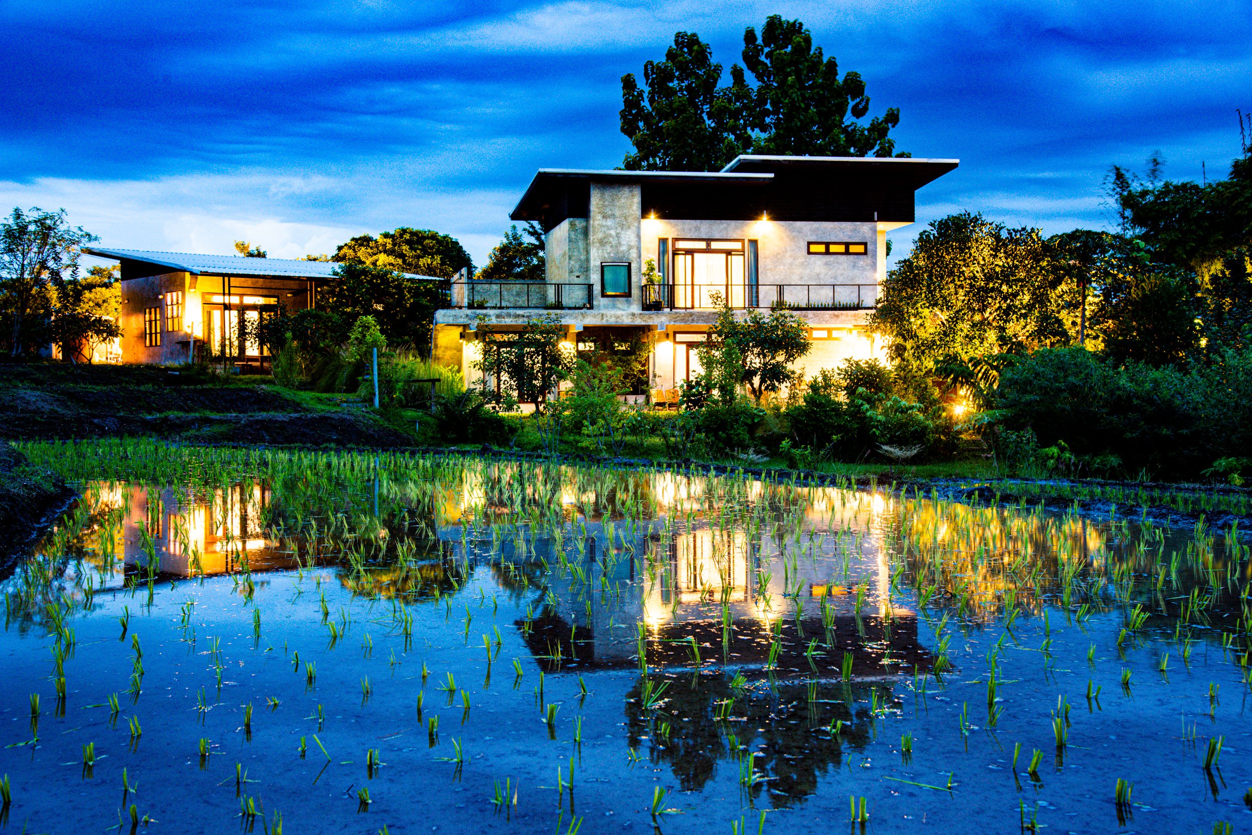 house int eh rice fields with blue hour lighting