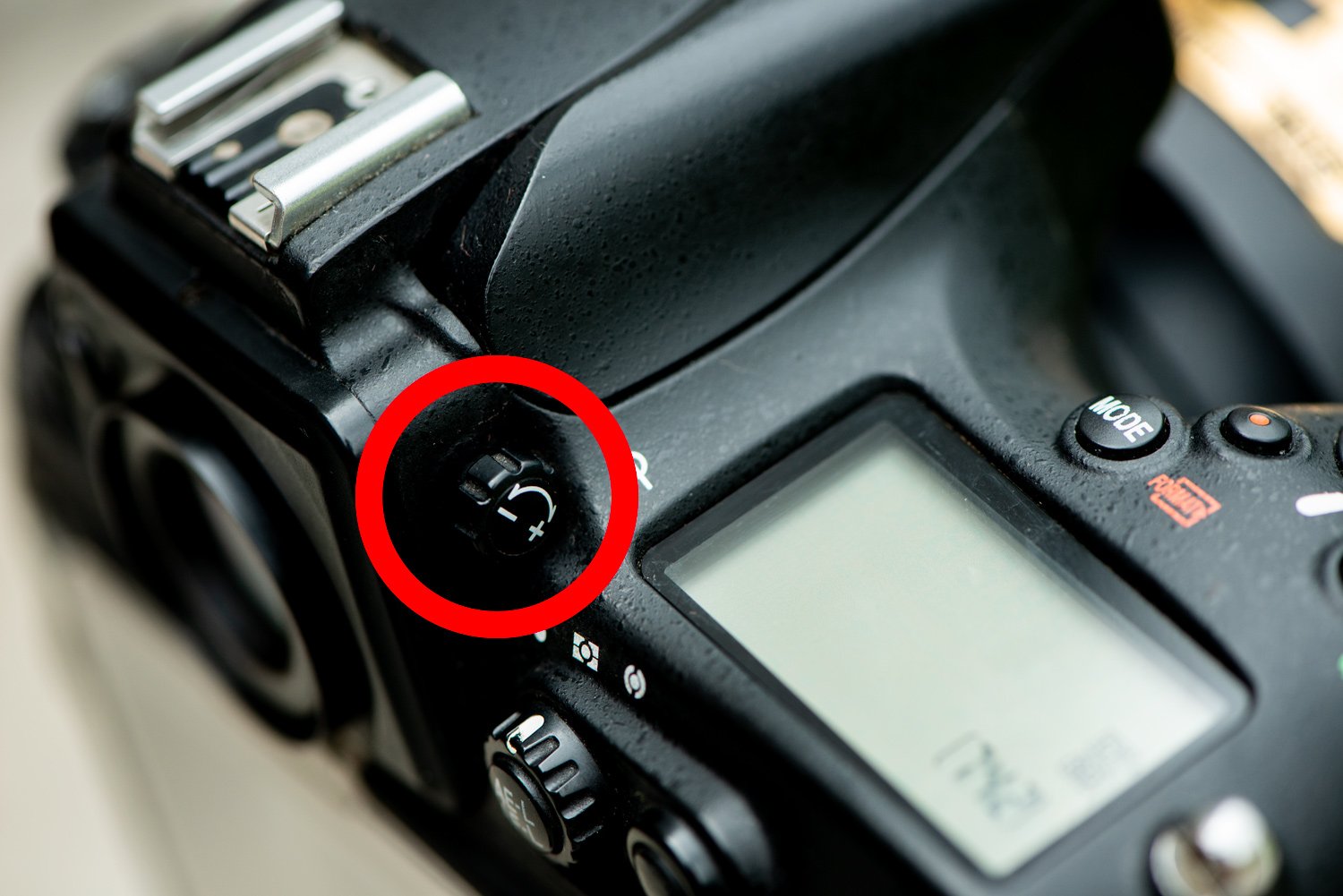 showing the diopter control on a DSLR camera © Kevin Landwer-Johan
