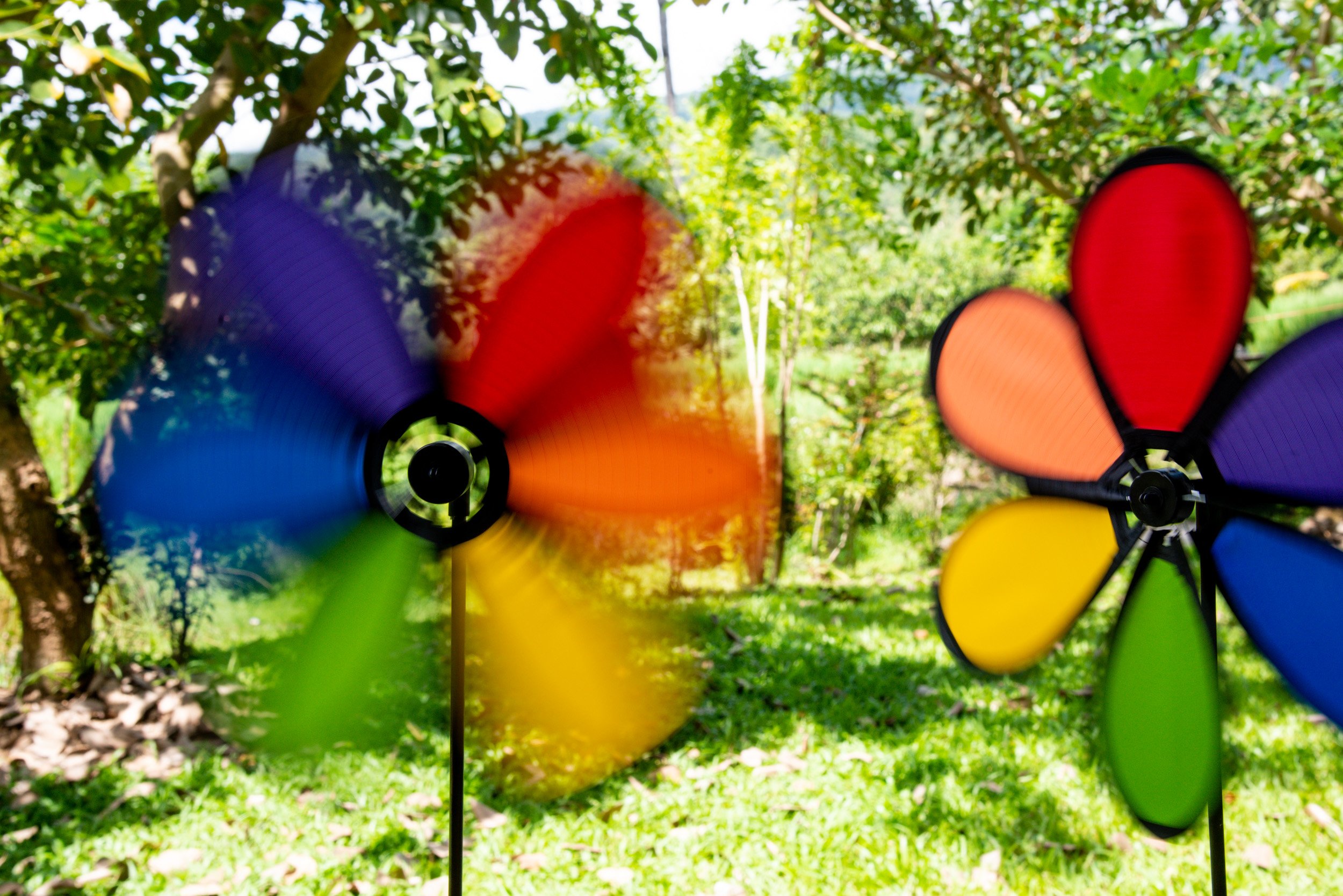 Spinning flower windmill for article about blurry photos